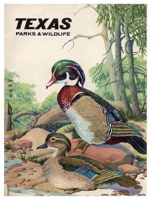Primary view of object titled 'Texas Parks & Wildlife, Volume 23, Number 4, April 1965'.