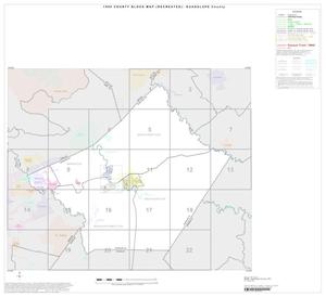 Primary view of object titled '1990 Census County Block Map (Recreated): Guadalupe County, Index'.