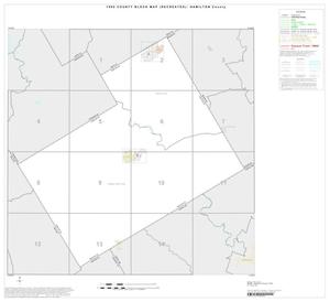 Primary view of object titled '1990 Census County Block Map (Recreated): Hamilton County, Index'.