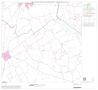 Map: 1990 Census County Block Map (Recreated): Limestone County, Block 10