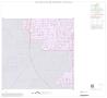 Map: 1990 Census County Block Map (Recreated): Taylor County, Inset C03