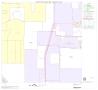 Map: 2000 Census County Block Map: Tarrant County, Block 15