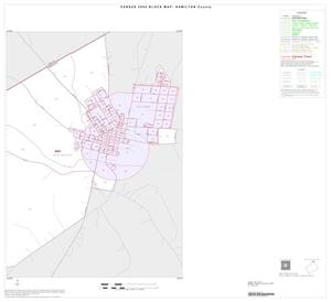 Primary view of object titled '2000 Census County Block Map: Hamilton County, Inset A02'.
