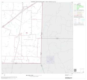 Primary view of object titled '2000 Census County Block Map: Palo Pinto County, Block 16'.