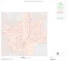 Primary view of 2000 Census County Block Map: Atascosa County, Inset D01