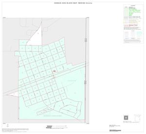 Primary view of object titled '2000 Census County Block Map: Medina County, Inset E01'.