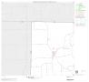 Map: 2000 Census County Block Map: Parker County, Block 1