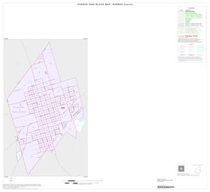 Primary view of object titled '2000 Census County Block Map: Karnes County, Inset D01'.