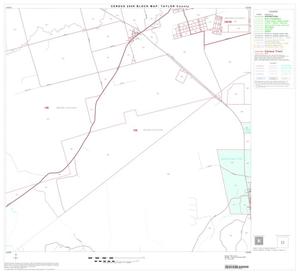 Primary view of object titled '2000 Census County Block Map: Taylor County, Block 13'.