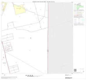 Primary view of object titled '2000 Census County Block Map: Ector County, Block 20'.