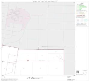 Primary view of object titled '2000 Census County Block Map: Hidalgo County, Block 43'.