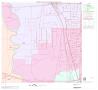 Map: 2000 Census County Block Map: Dallas County, Block 13