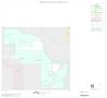 Map: 2000 Census County Block Map: Parker County, Inset G01