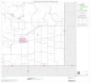 Primary view of object titled '2000 Census County Block Map: Briscoe County, Block 9'.