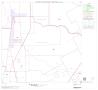 Map: 2000 Census County Block Map: Brazoria County, Block 17