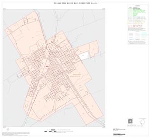 Primary view of object titled '2000 Census County Block Map: Robertson County, Inset D01'.