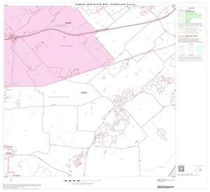 Primary view of object titled '2000 Census County Block Map: Guadalupe County, Block 12'.