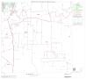 Map: 2000 Census County Block Map: Guadalupe County, Block 17