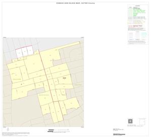Primary view of object titled '2000 Census County Block Map: Ector County, Inset B01'.