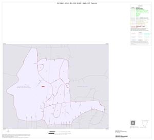 Primary view of object titled '2000 Census County Block Map: Burnet County, Inset I01'.