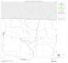 Map: 2000 Census County Block Map: Parker County, Block 3