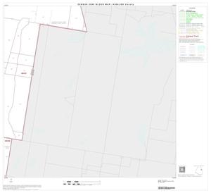Primary view of object titled '2000 Census County Block Map: Hidalgo County, Block 34'.