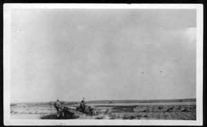 Primary view of object titled '[Two men harvesting on Jim Lee Farm in Justin]'.