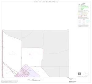 Primary view of object titled '2000 Census County Block Map: Dallam County, Inset A01'.