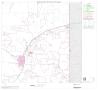 Map: 2000 Census County Block Map: Irion County, Block 6