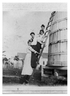 Primary view of object titled 'Four Women on a Ladder'.