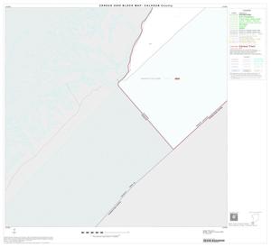 Primary view of object titled '2000 Census County Block Map: Calhoun County, Block 20'.