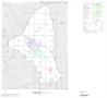Thumbnail image of item number 1 in: '2000 Census County Block Map: Brazos County, Index'.