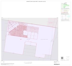 Primary view of object titled '2000 Census County Block Map: Hidalgo County, Inset E01'.