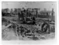 Thumbnail image of item number 1 in: '[Debris after a 1922 Blowout in Orange Oil Field]'.