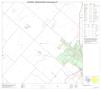 Thumbnail image of item number 1 in: '2010 Census County Block Map: Fort Bend County, Block 56'.