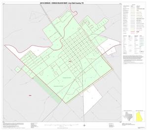 Primary view of object titled '2010 Census County Block Map: Live Oak County, Inset C01'.