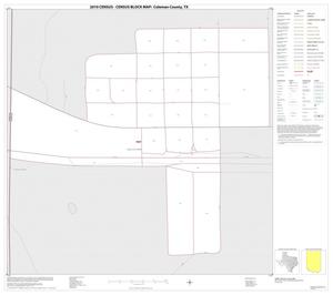 Primary view of object titled '2010 Census County Block Map: Coleman County, Inset D01'.