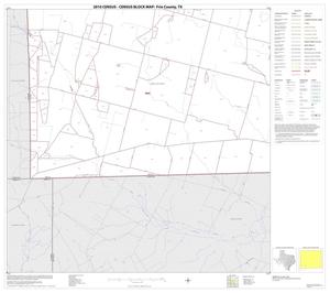 Primary view of object titled '2010 Census County Block Map: Frio County, Block 13'.