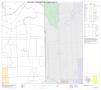 Primary view of 2010 Census County Block Map: Hidalgo County, Block 111