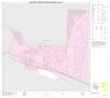 Map: 2010 Census County Block Map: Hudspeth County, Inset D01