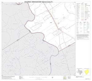 Primary view of object titled '2010 Census County Block Map: Robertson County, Block 20'.