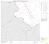 Thumbnail image of item number 1 in: '2010 Census County Block Map: Robertson County, Block 20'.