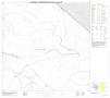 Thumbnail image of item number 1 in: '2010 Census County Block Map: Brewster County, Block 52'.