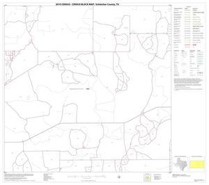 Primary view of object titled '2010 Census County Block Map: Schleicher County, Block 10'.