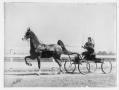 Primary view of [Woman driving a horse-drawn vehicle]