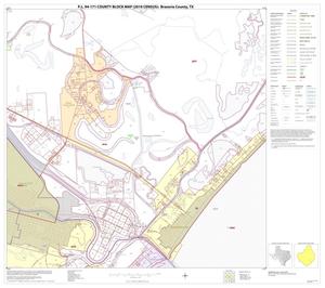 Primary view of object titled 'P.L. 94-171 County Block Map (2010 Census): Brazoria County, Block 41'.