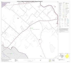 Primary view of object titled 'P.L. 94-171 County Block Map (2010 Census): Brazoria County, Block 38'.