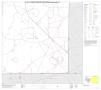 Primary view of P.L. 94-171 County Block Map (2010 Census): Nolan County, Block 16