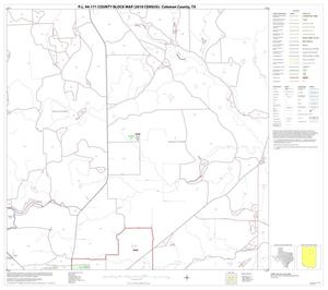 Primary view of object titled 'P.L. 94-171 County Block Map (2010 Census): Coleman County, Block 7'.
