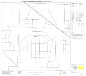 Primary view of object titled 'P.L. 94-171 County Block Map (2010 Census): Dallam County, Block 14'.
